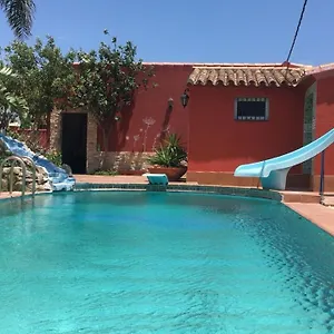 Higos Chumbos, Compartido , Chiclana de la Frontera España